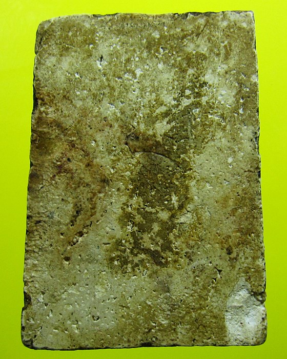 สมเด็จ หลวงปู่นาค พิมพ์ขาโต๊ะหูประบ่า