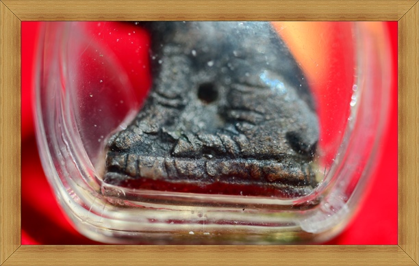 เสือรุ่นแรก เนื้อตะกั่วชุบทองแดง หลวงพ่อคง วัดวังสรรพรส ปี 2511