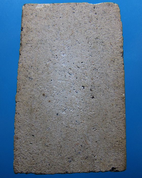 สมเด็จหลวงปู่นาค พิมพ์อกร่อง 