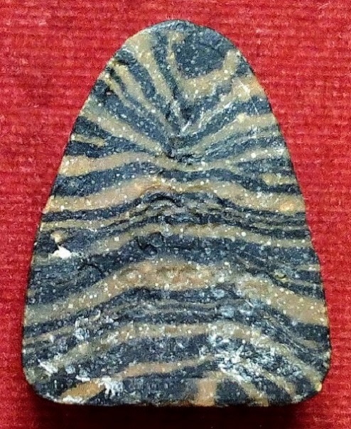 พระปิดตารุ่นแรก ลายเสือ เนื้อผงเกสร108 หลวงพ่อแพ วัดพิกุลทอง สิงห์บุรี ปี2513 หลังยันต์พุฒซ้อนเล็ก