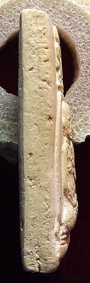 รูปเหมือนสมเด็จวัดระฆัง100ปี ตรายางเทพ