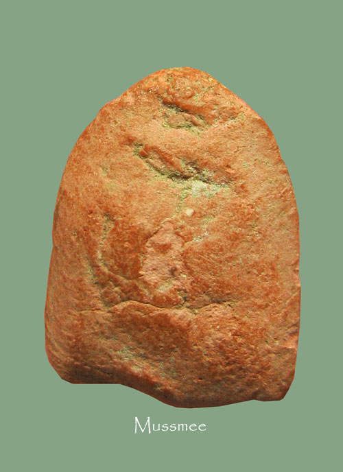 พระนาคปรก (จิ๋ว) เนื้อผงว่านสบู่เลือด กรุวัดนาชี หลวงปู่เอี่ ยม วัดหนังสร้าง พระสวยสมบูรณ์ ครับ 