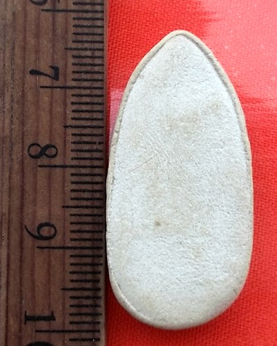 เริ่ม 10 บาท กับ พระสิวลี เนื้อผง ไม่ทราบที่  …BA887