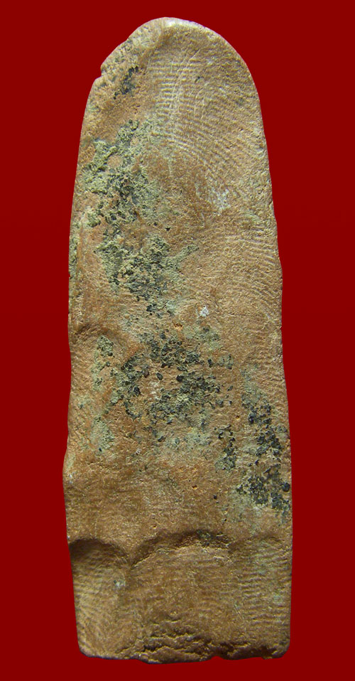 พระสรรค์ยืนลีลา(เนื้อดิน) ชัยนาท