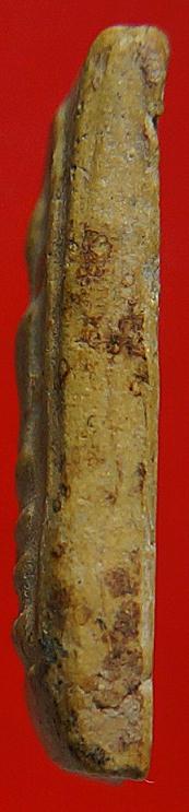 สมเด็จพิมพ์ใหญ่หลวงตาพัน2502