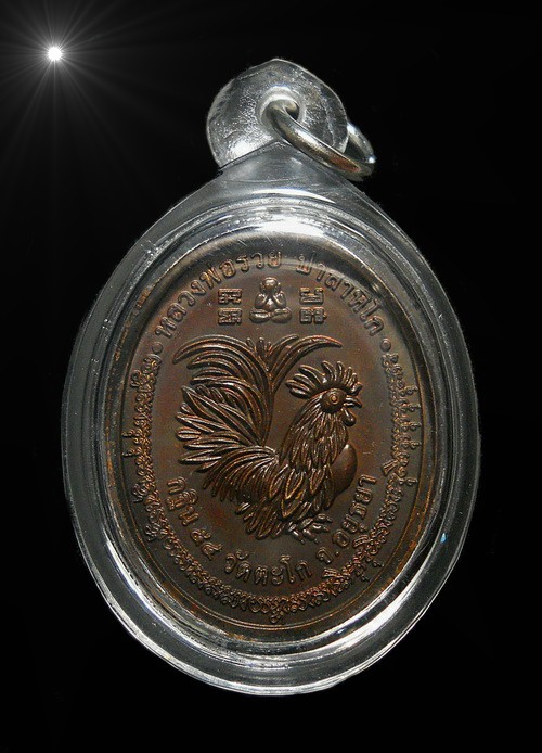 เหรียญกฐินปี 54 หลวงพ่อรวย วัดตะโก อยุธยา เนื้อทองแดงรมน้ำตาล