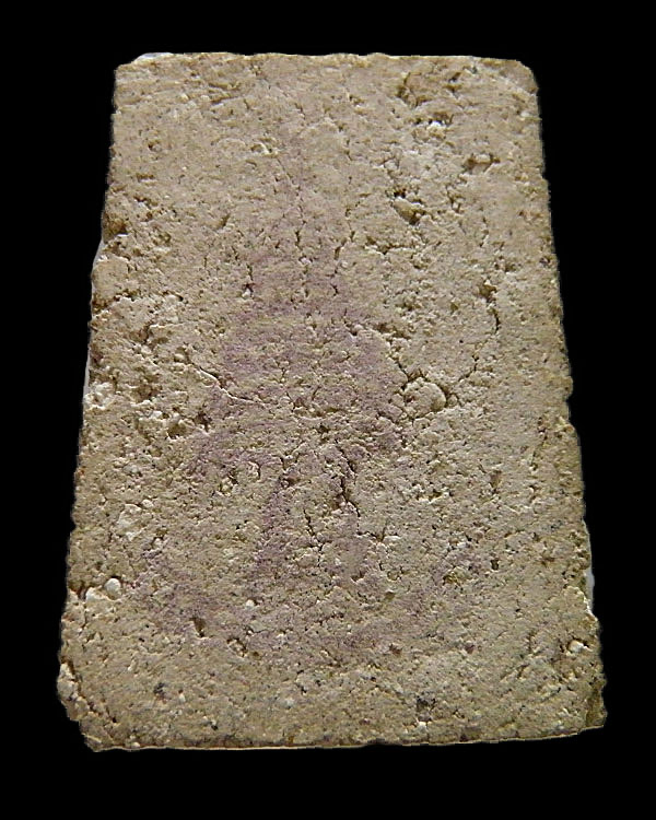 พระสมเด็จพิมพ์ใหญ่ ข้างดาว เนื้อก้นครก (หายาก) เจ้าคุณเที่ยง วัดระฆังฯ กรุงเทพฯ ข้างดาวซึ่งเป็นเอกลั