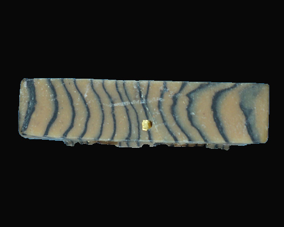 สมเด็จปรกโพธิ์ หลวงพ่อแพ วัดพิกุลทอง ตะกรุด 3 ดอก