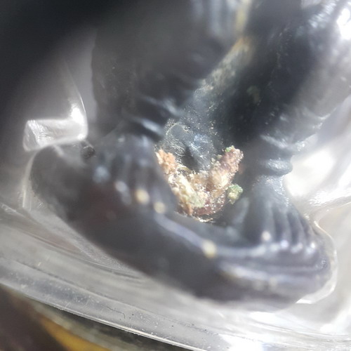 หนุมาน  หลวงพ่อคง  วัดวังสรรพรส  จ.จันทบุรี 