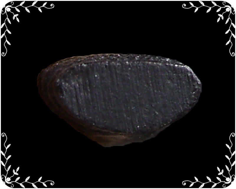 รูปหล่อนาคปรก หลวงปู่คร่ำ วัดวังหว้า รุ่นสร้างเจดีย์