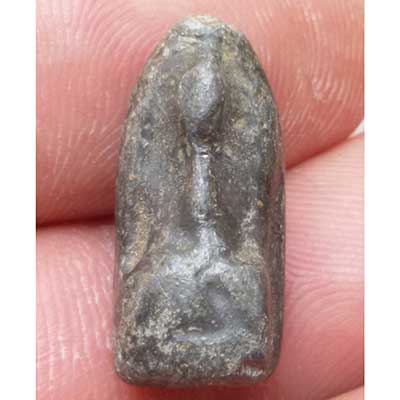 พระเนื้อชิน