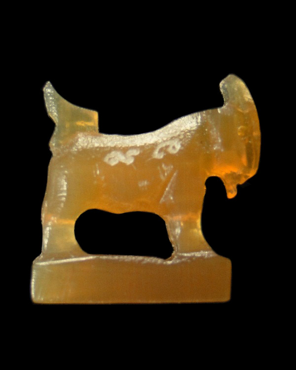 แพะแกะเขาควายเผือก สีน้ำผึ้ง หลวงพ่อสิน วัดระหารใหญ่ ระยอง