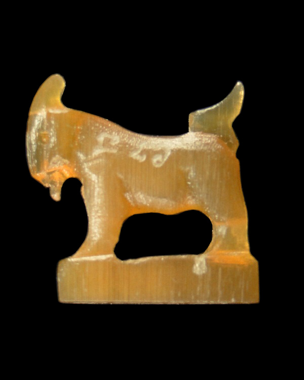 แพะแกะเขาควายเผือก สีน้ำผึ้ง หลวงพ่อสิน วัดระหารใหญ่ ระยอง