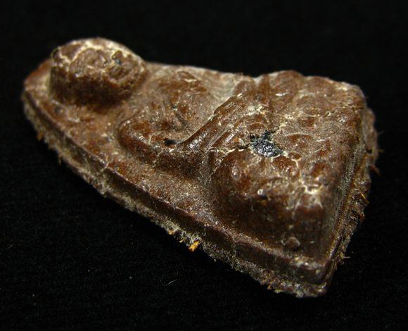 พระพิมพ์หลวงปู่ทวด เนื้อว่านชานหมาก พลอยเสก ฝังตะกรุดด้านหลัง ออกวัดป่าช่องกุ่ม 2543 (8)