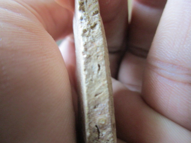 สมเด็จปรกโพธ์