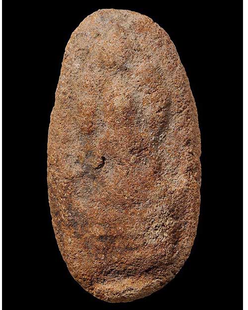 ปรกชุมพล