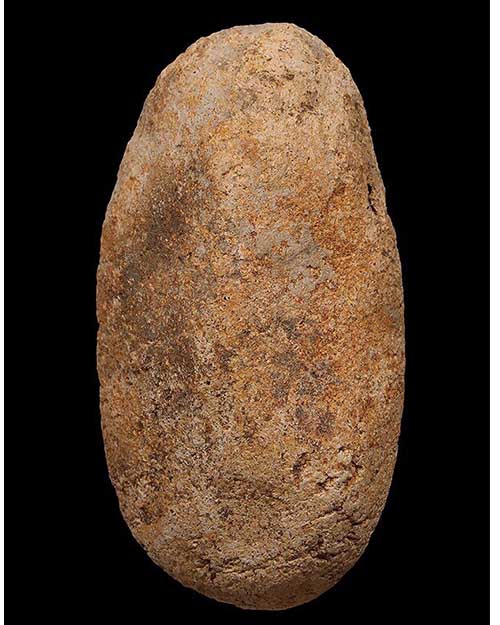 ปรกชุมพล