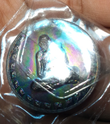 หลวงปู่ทิม วัดพระขาว เหรียญกลมใหญ่ ปลาตะเพียน หลังแม่โภสพ เนื้อทองแดง