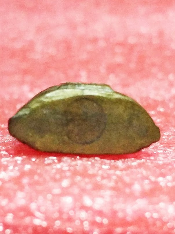 รูปหล่อพระสังกัจจายน์อุดกริ่ง วัดกัลยาณมิตร ธนบุรี ปี2500 หายาก 