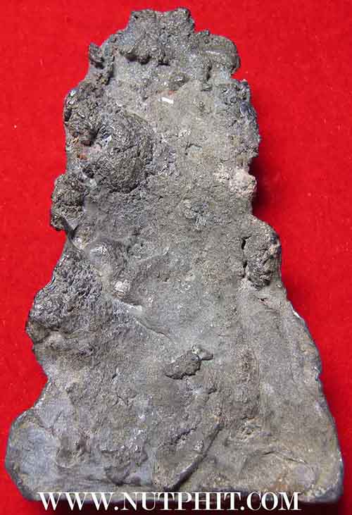 พระโคนสมอเนื้อชินเชียวปางมารวิชัย(พระพุทธชินราช)+บัตรรับรองพระแท้*114