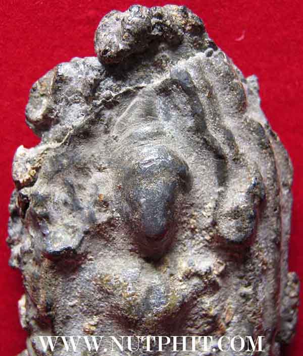 พระโคนสมอเนื้อชินเชียวปางมารวิชัย(พระพุทธชินราช)+บัตรรับรองพระแท้*114