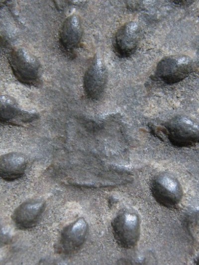 พระงบน้ำอ้อย กรุเตาทุเรียง เนื้อดิน จ.สุโขทัย สภาพสวย