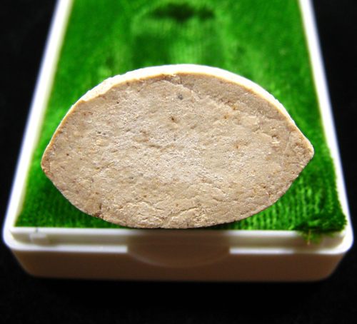 พระปิดตาหลวงพ่อกวย วัดโฆสิตาราม พระอาจารย์ตั้ว วัดซับลำใยสร้าง หลวงปู่หมุน ฐิตสีโล ปลุกเสก 2541