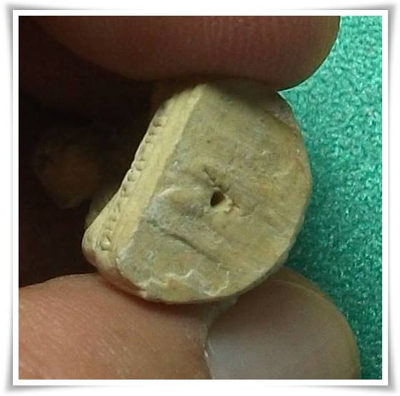 ลพ.เกษม เขมโก สุสานไตรลักษณ์ จ.ลำปาง " ลอยองค์ปี31 กับ พระผงมหากุศล อ.ย.ปี32(ลป.ดู่ ร่วมปลุกเสก) "