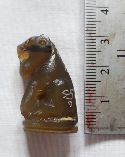  เสือ เขาควายเผือก หลวงพ่อสิน วัดละหารใหญ่ สวยๆ