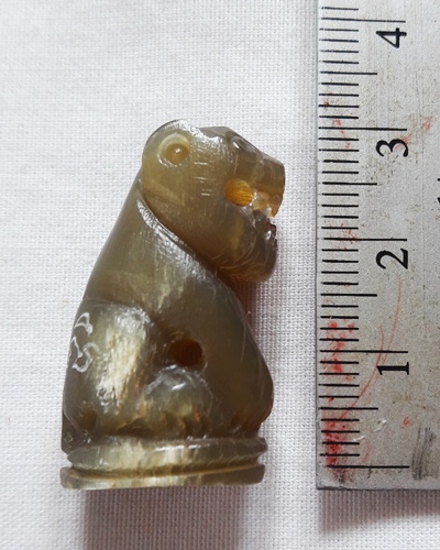  เสือ เขาควายเผือก หลวงพ่อสิน วัดละหารใหญ่ สวยๆ