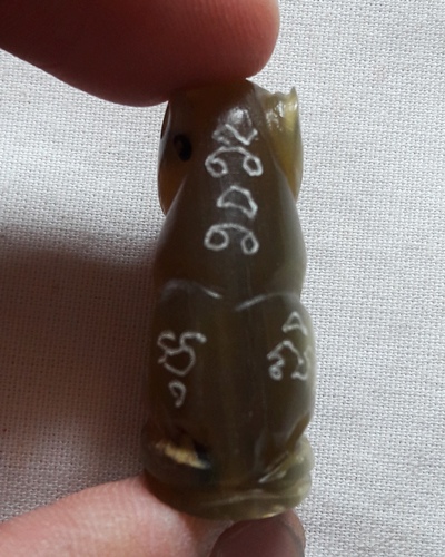  เสือ เขาควายเผือก หลวงพ่อสิน วัดละหารใหญ่ สวยๆ