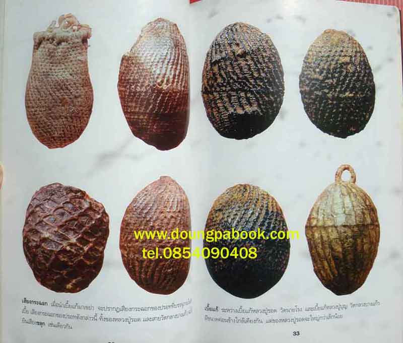 หนังสือเบี้ยแก้-หมากทุย
