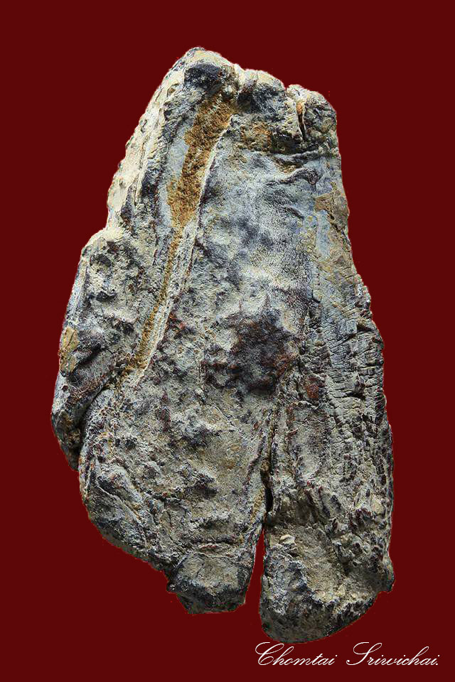 พระนาคปรก เนื้อชินตะกั่วสนิมแดง