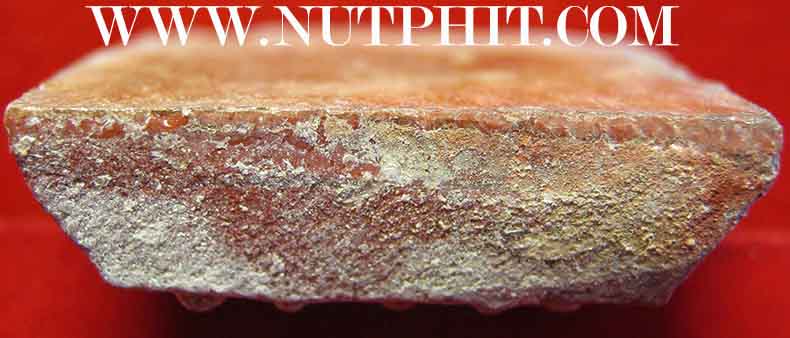 41*นพเก้าทองแท้ หลวงพ่อพระพุทธชินราช วัดพระศรีรัตนมหาธาตุวรมหาวิหาร พิษณุโลก