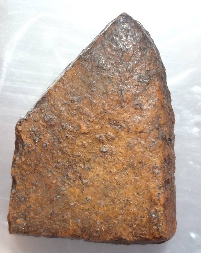  พลายคู่ตัดเดี่ยว พิมพ์หน้ากลม