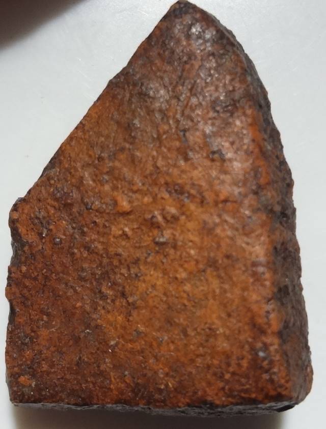  พลายคู่ตัดเดี่ยว พิมพ์หน้ากลม