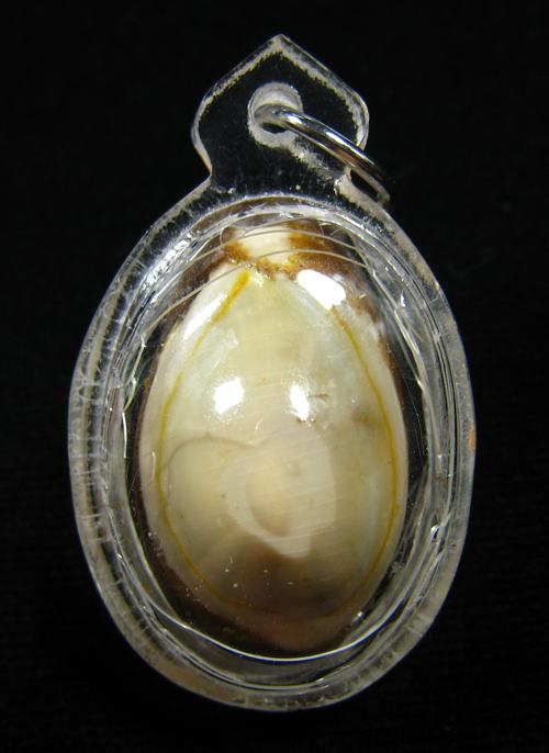 เบี้ยแก้ อุดชันโรงฝังปรกหนุมาน จารยันต์ หลวงปู่หมุน วัดบ้านจาน ออกวัดซับลำใย ปี 2543 (3)