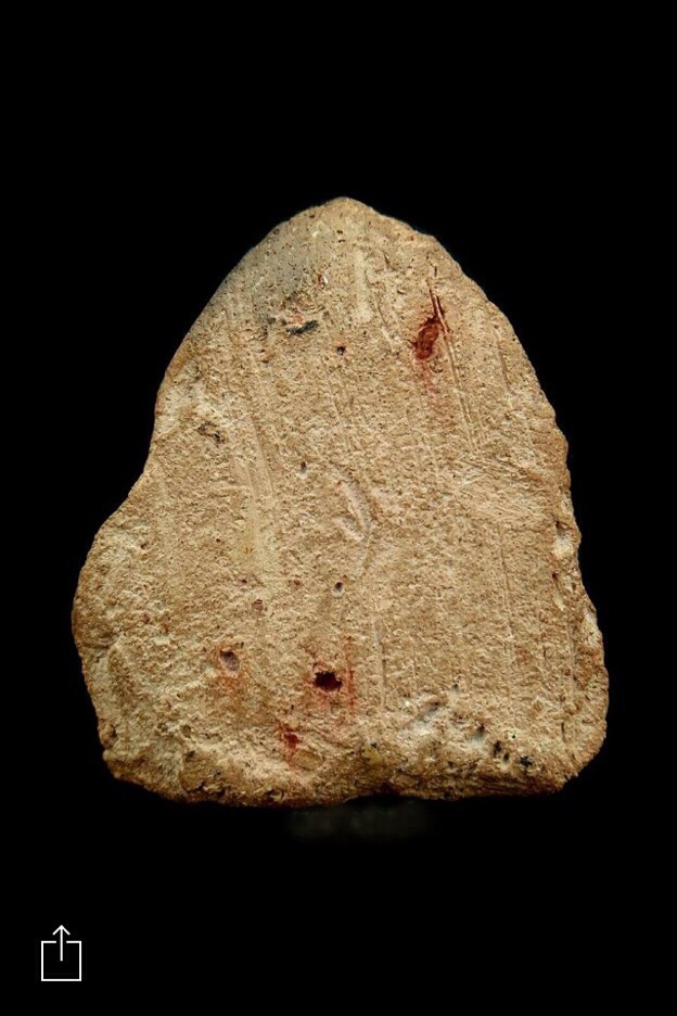 พ่อโตบางกระทิง สมาธิ(องค์ไฝ)