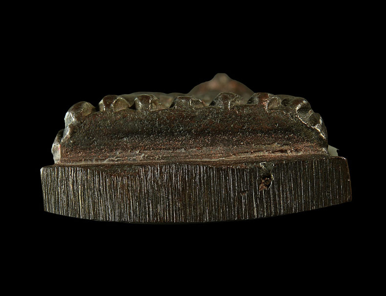 หลวงปู่ทวด หลังเตารีด เนื้อนวะโลหะ พิมพ์ใหญ่ รุ่นสร้างโรงพยาบาลโคกโพธิ์ ปี 2539