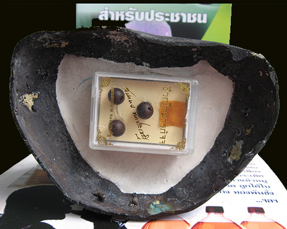 ชีวกโกมารภัจจ์  จ.สิงห์บุรี