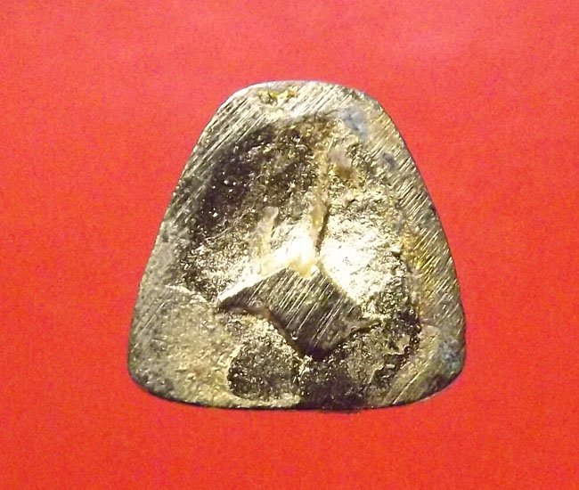 รูปหล่อเสือวัว หลวงปู่สมชาย วัดเขาสุกิม จ.จันทบุรี