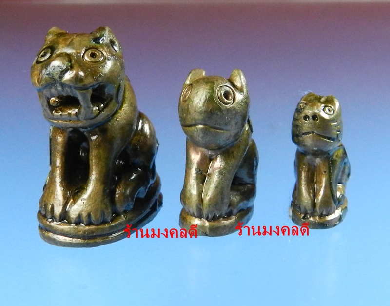 พรายพยัคฆ์ เสือพ่อแม่ลูก เนื้อนวะแช่น้ำมันงาเดือด หลวงปู่บัว ถามโก วัดเกาะตะเคียน จ.ตราด ปี53