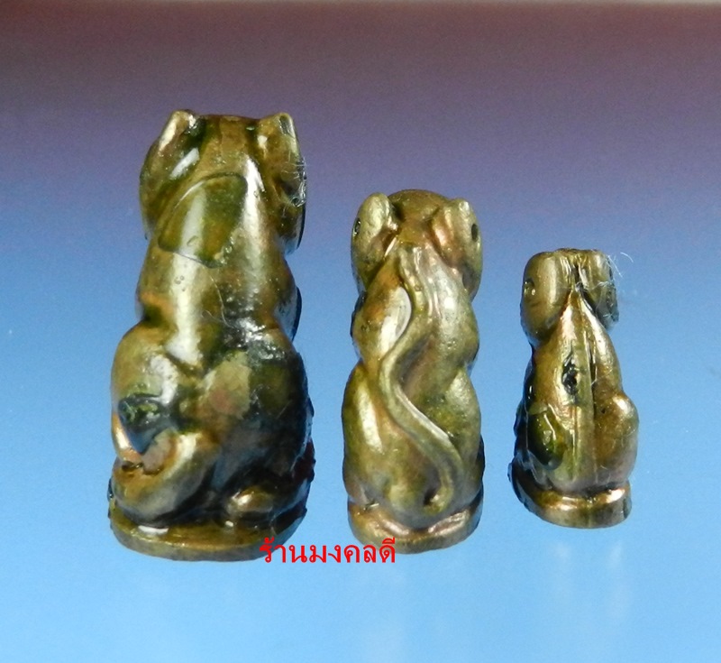 พรายพยัคฆ์ เสือพ่อแม่ลูก เนื้อนวะแช่น้ำมันงาเดือด หลวงปู่บัว ถามโก วัดเกาะตะเคียน จ.ตราด ปี53