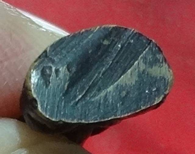  พ่อแก่ฤษีตามภาพครับ