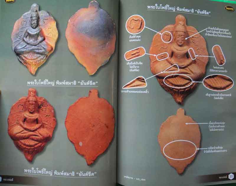 หนังสือ ไทยพระหลวงพ่อลี