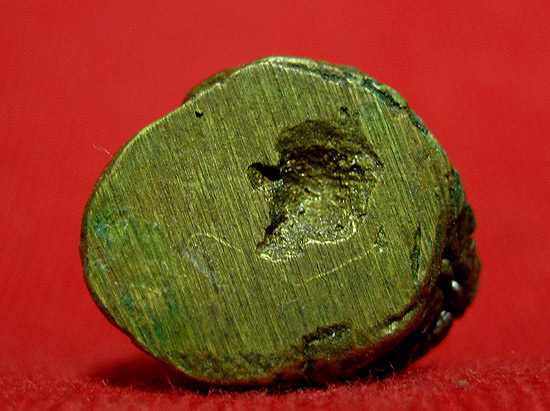 มัจฉานุ มูลนิธิหลวงปู่ทิม รุ่นแรก ปี 2537