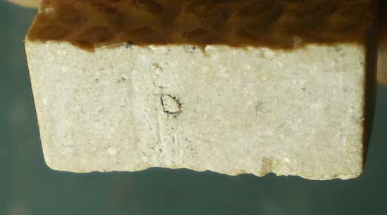 เจ้าสัว หลวงพ่อแพ วัดพิกุลทอง