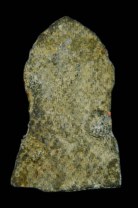 พระพุทธชินราช ใบเสมา ชินอุทุมพร