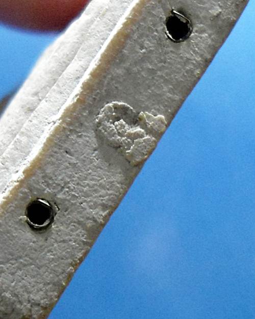 พระสมเด็จ หลวงพ่อแพ วัดพิกุลทอง รุ่นเสาร์5