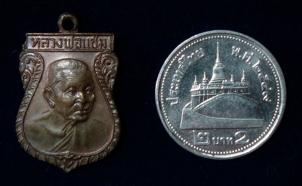 เหรียญหันข้าง หลวงพ่อแช่ม วัดดอนยายหอม (เล็ก) เคาะเดียวแดง